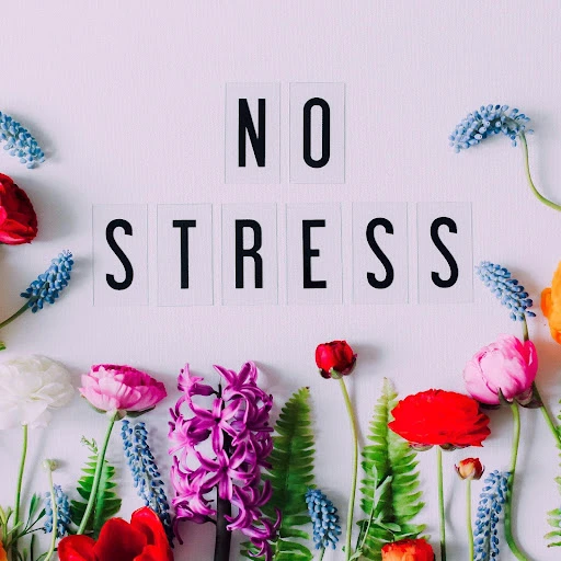 5 Design Tips to Instantly Relieve Stress in the Home