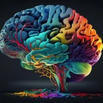 Your Body’s Response to Color: Physiological Design