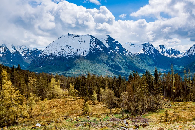 Discovering Nature’s Wonders: The Ultimate Guide for Eco-Friendly Travelers and Photographers