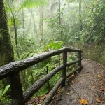 Discovering Nature's Wonders: The Ultimate Guide for Eco-Friendly Travelers and Photographers