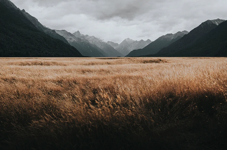 Discovering Nature’s Wonders: The Ultimate Guide for Eco-Friendly Travelers and Photographers